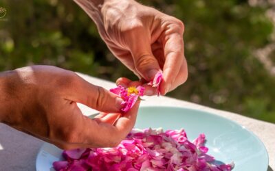 10 DIY Face Packs Using Rosewater for Glowing, Healthy Skin