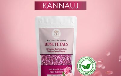 Kannauj Rose Tea – Benefits & Uses